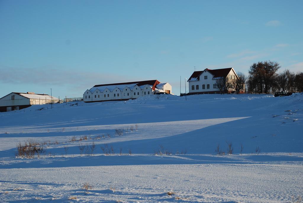 Helluland Guesthouse Saudarkrokur Buitenkant foto
