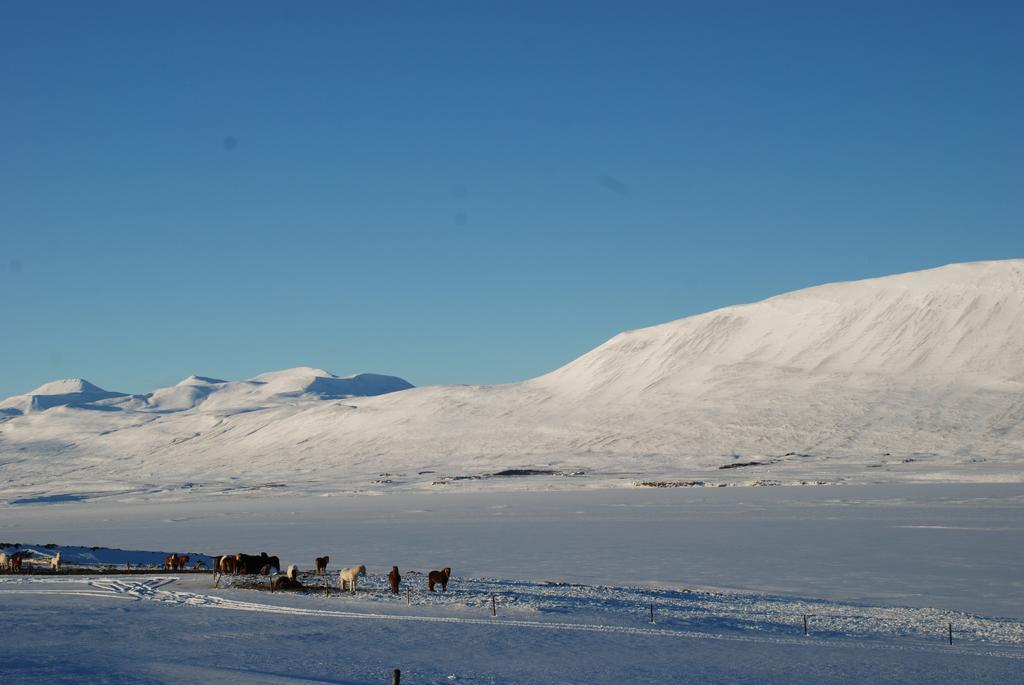 Helluland Guesthouse Saudarkrokur Buitenkant foto