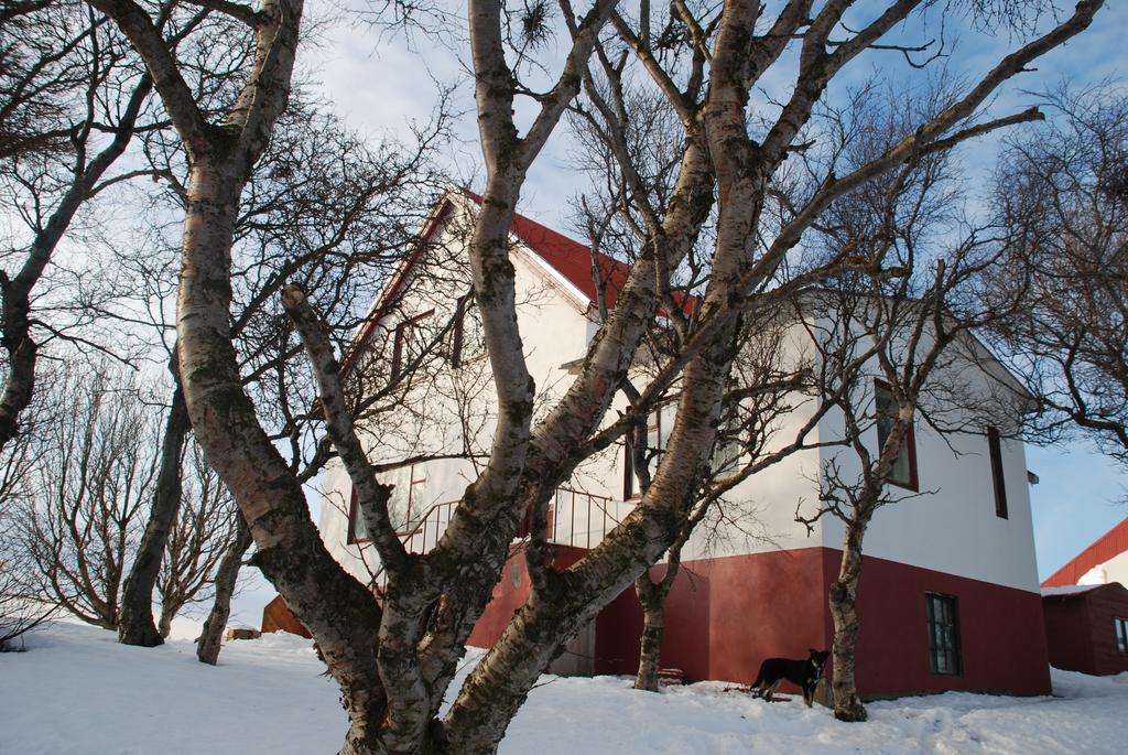 Helluland Guesthouse Saudarkrokur Buitenkant foto