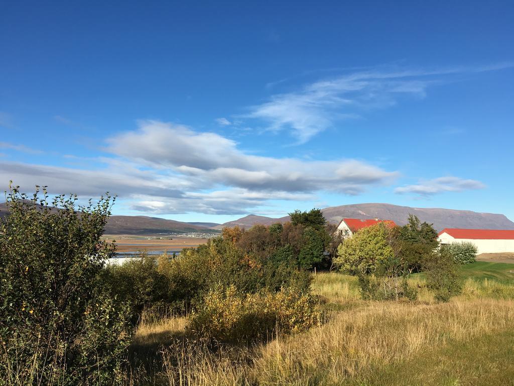 Helluland Guesthouse Saudarkrokur Buitenkant foto